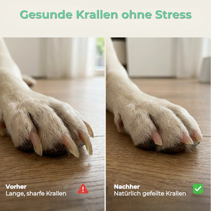 KrallenFix Pro