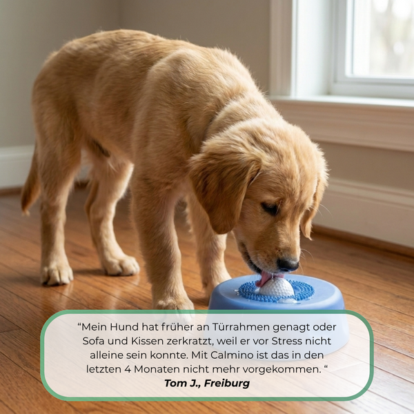 Paw Calm Pup Bowl
